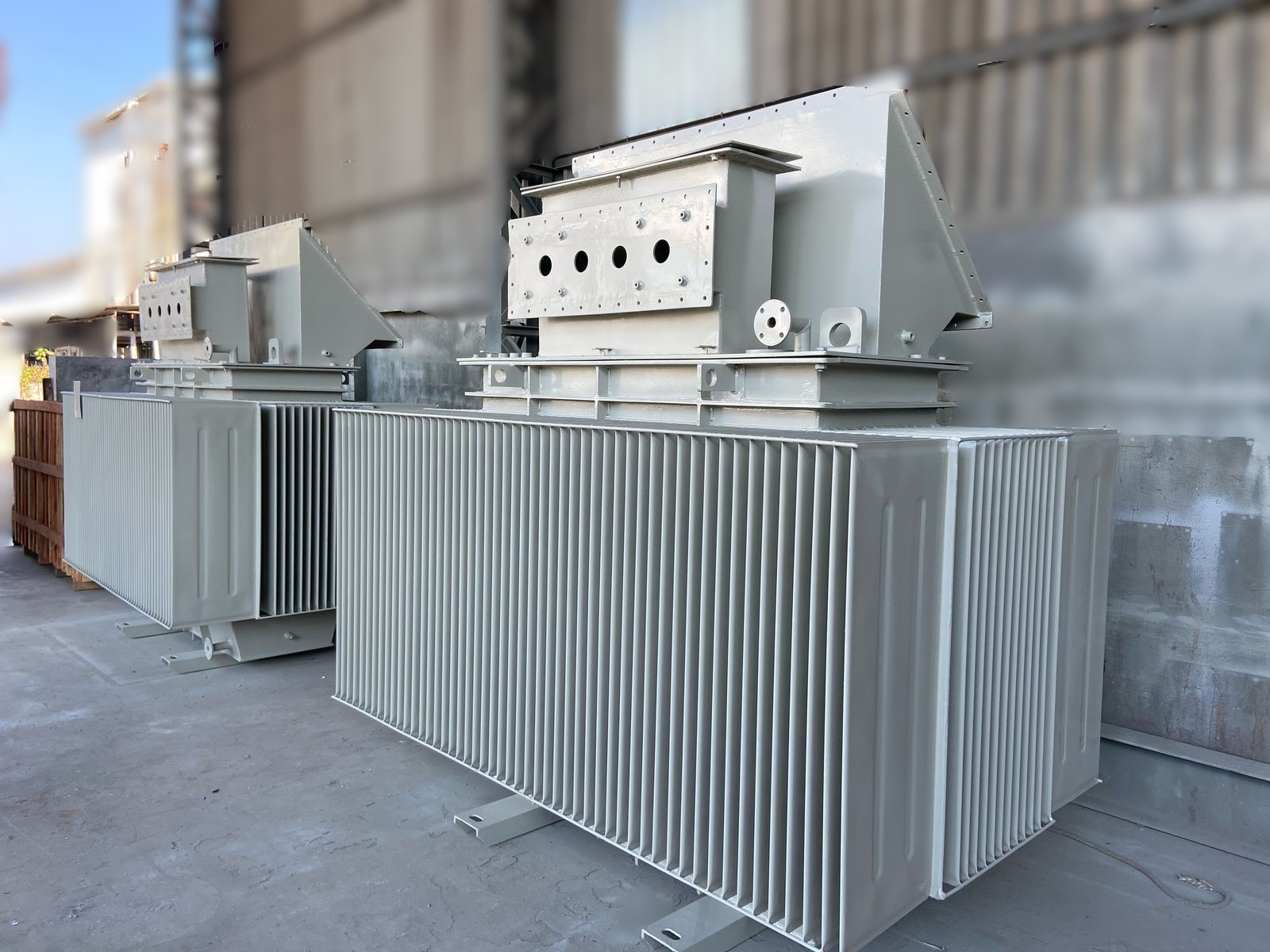 WhatsApp-Image-2025-03-11-at-2.19.34-PM